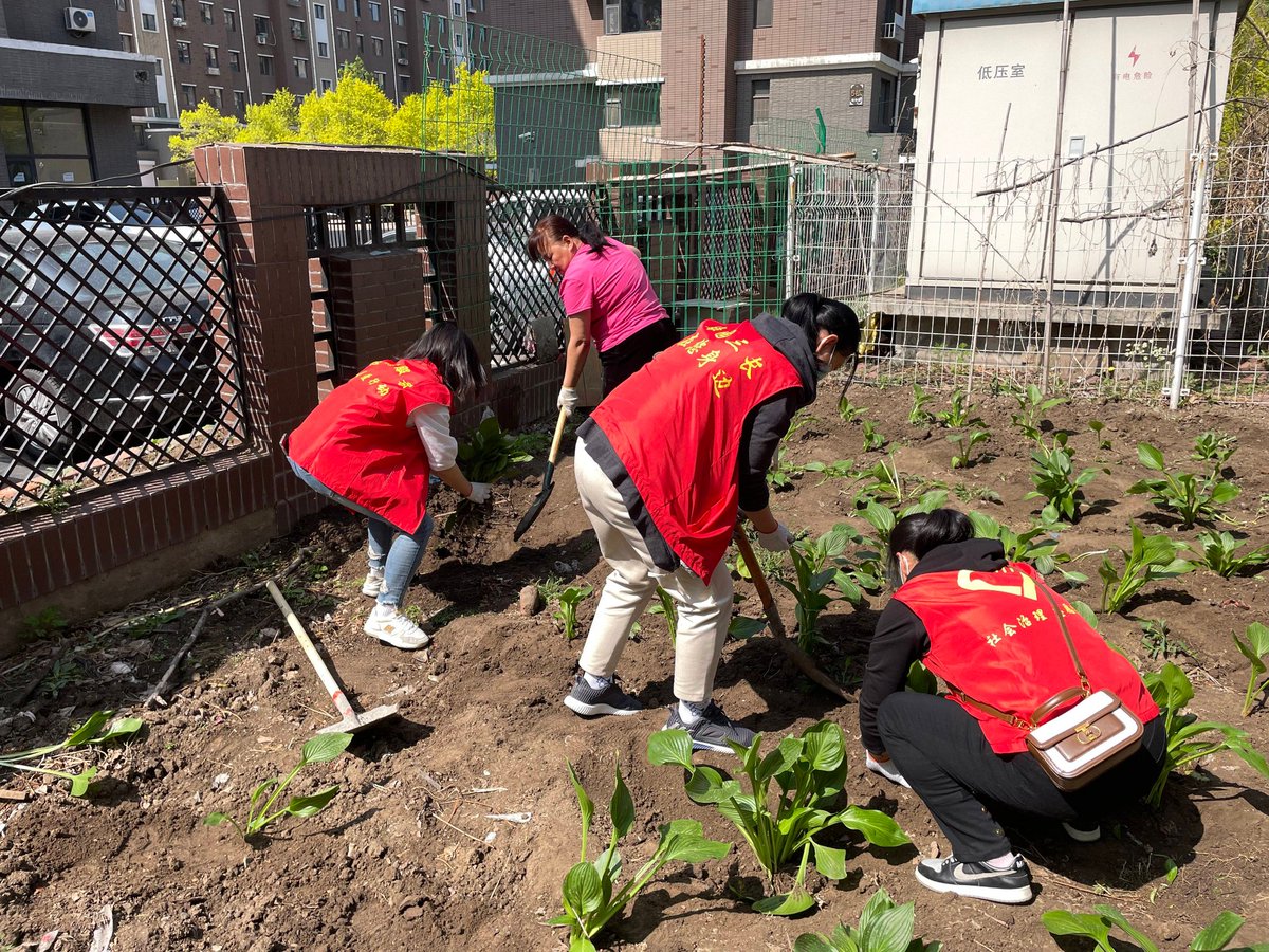 SwiftCurrecmvc's tweet photo. [Join our Saturday community garden cleanup from 9AM–12PM! Bring gloves u0026 leave with fresh veggies—great for neighbors of all ages!]， https://t.co/Wx6kd2E3aw