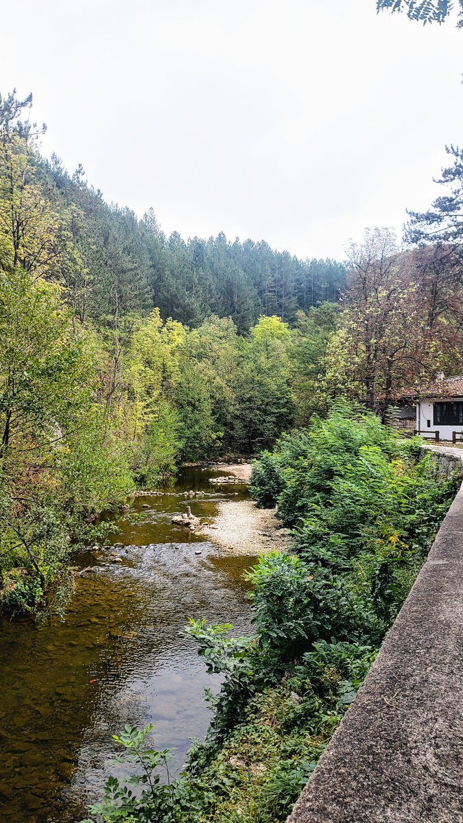 tannyshp's tweet photo. Sokobanja 💚🩵 https://t.co/LDK7kqHxm5