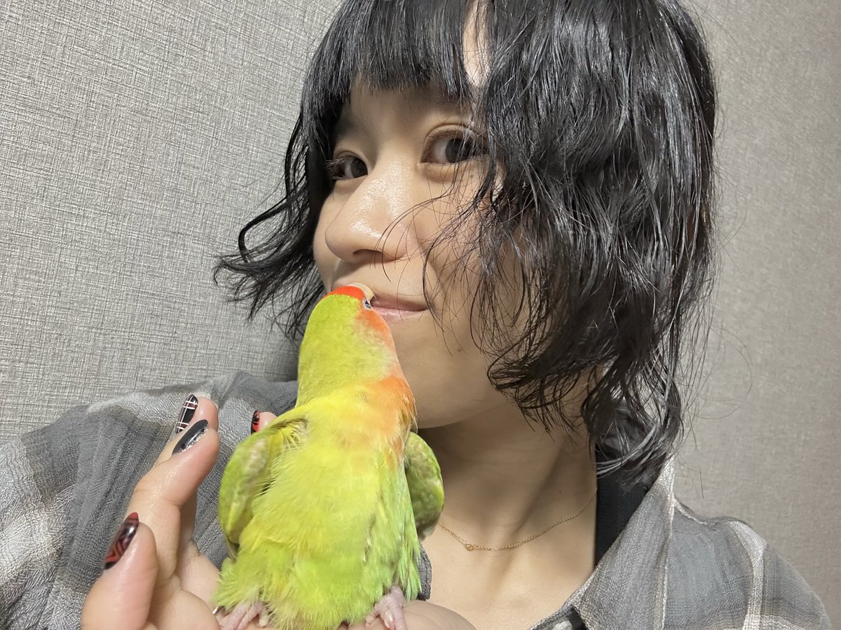 Moimoi333333's tweet photo. 髪を結べばショートカット
満足

これはメアちゃんにちゅーされとるとこ🐥💋 https://t.co/iMSrJPMNbx