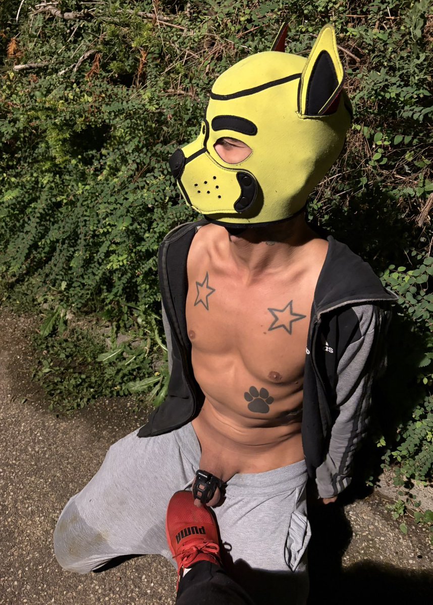Pup_Hoodie's tweet photo. Exposed by Master B  only locked good puppy for the Master . https://t.co/viWDACUSTC