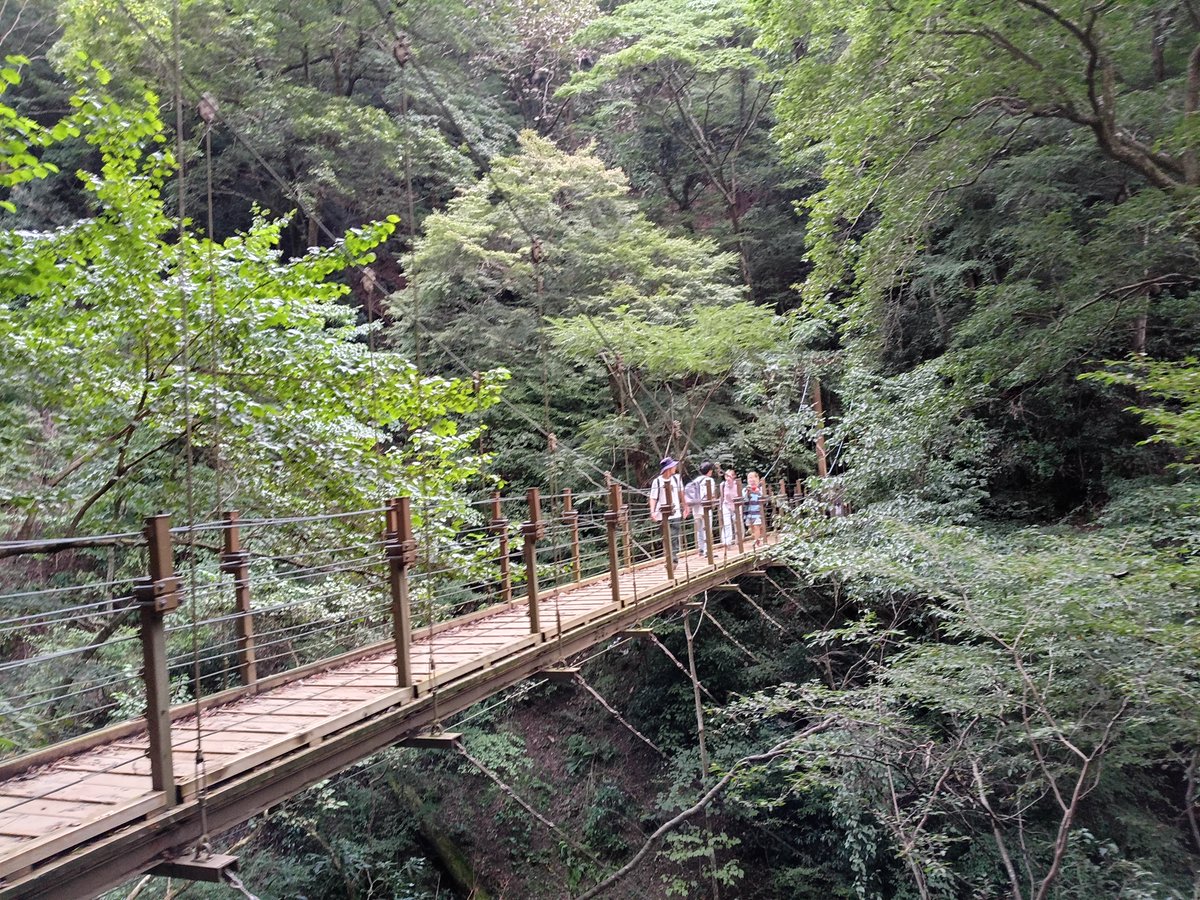 ptc2's tweet photo. 【約20キロ陣馬高原バス停から
　　高尾山口駅までのトレイルハイク】

秋の花も咲き丹沢の山々、スカイツリーの眺望がありました。
多くのランナー・ハイカーが自然を楽しむ山域でした。

• 累積標高差:
 • 上り：約1,100m〜1,350m
 • 下り：約1,300m〜1,480m

#小川泰裕
#高尾山
#高尾 https://t.co/lwyDiy3Dxx