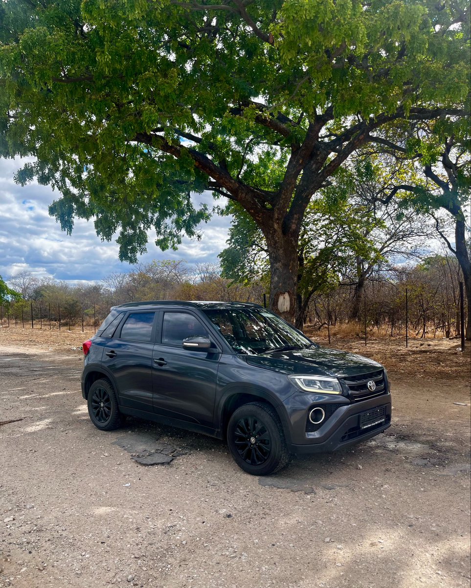selfstyledking's tweet photo. Rovert Tree, Pandamatenga, Botswana. https://t.co/oYuSlbQXwB