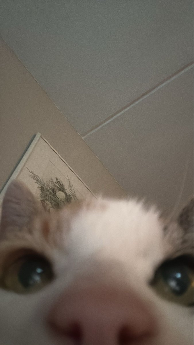 linhvxq's tweet photo. why does yushi look like @jenosclouds kitchen https://t.co/Igb0erGwNl
