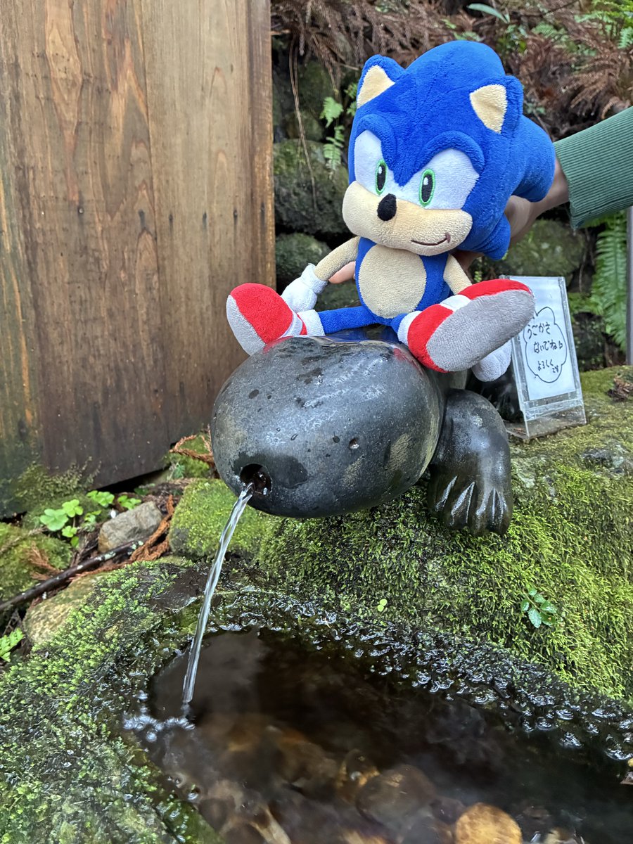 Ms_Virago's tweet photo. 私もう堪らなく胸にグッと来ちゃって😭人形持ってる所をお友達にからかわれちゃったら悲しむよな〜…😰とか考えてさり気なくとは言え辞める方向に持っていこうとしててさ、心の奥底でそんな風に大切にしたい気持ちが育ってるって事全然見えてなかった😭子が私を親にしてくれてる🙏ソニックにも大感謝！ https://t.co/NhYtZBVcT2