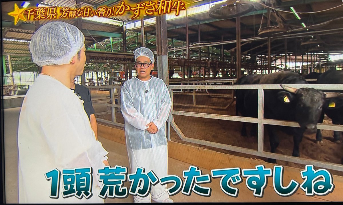 tgsdaiki74's tweet photo. 広い小屋に3頭くらいがちょうどいいですよね🐮NEWSも3人でやらせてもらってるんで。4だとちょっとぎゅうぎゅうで

一頭荒かったですしね笑

てごしーーーーーwwww

#増田貴久 #宮川大輔 https://t.co/CEuK5P7Hsh