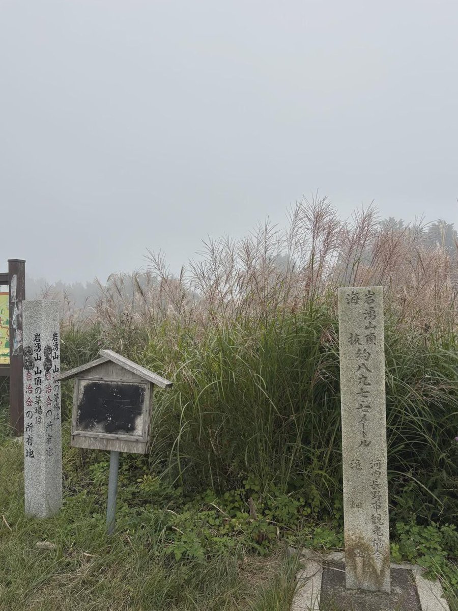 neko_wanderer's tweet photo. #岩湧山 ⛰️

難易度はそんなに高くないので、のんびり歩いてきました☺️
写真撮ったり、休憩したりしながら往復5時間。
かなりのんびりペースでした🐢 https://t.co/7FVQft71SA