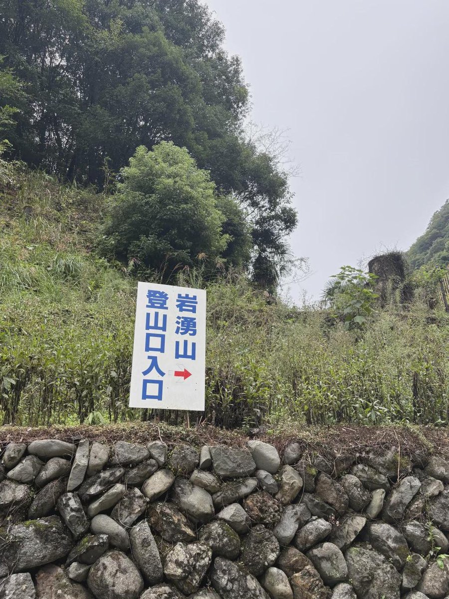 neko_wanderer's tweet photo. #岩湧山 ⛰️

難易度はそんなに高くないので、のんびり歩いてきました☺️
写真撮ったり、休憩したりしながら往復5時間。
かなりのんびりペースでした🐢 https://t.co/7FVQft71SA