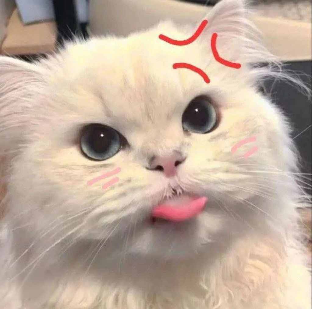 pchymysn's tweet photo. แบรรรรร่👅 https://t.co/JT4pbfFPoZ