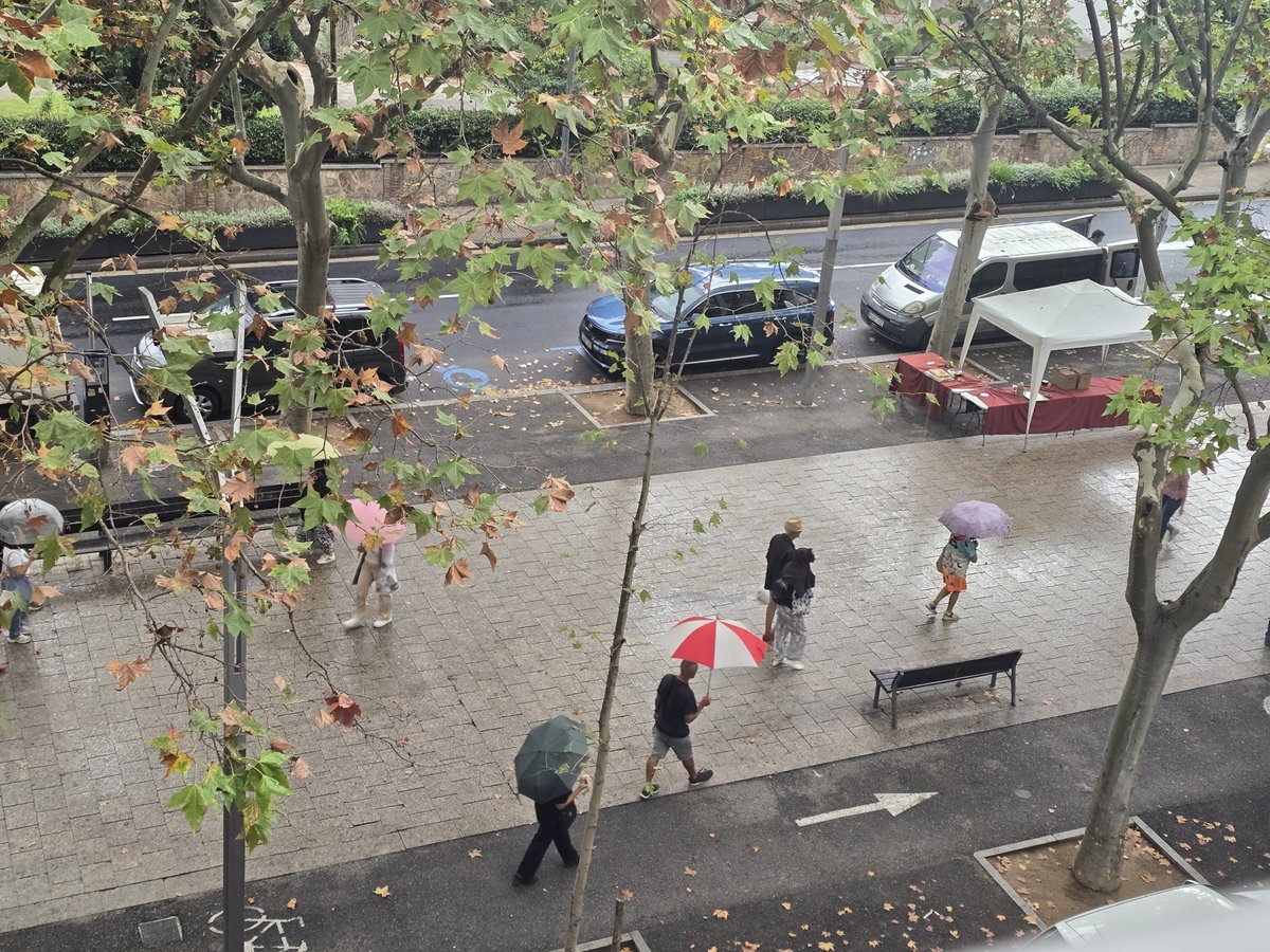 gramareus's tweet photo. Plou a Reus!!🌧
22°C, humitat del 79%
#Reus #raining #llueve @1967fct @StormHour @SeguimlaMeteo @ecazatormentas #bondia https://t.co/1ut9tGR9Vy