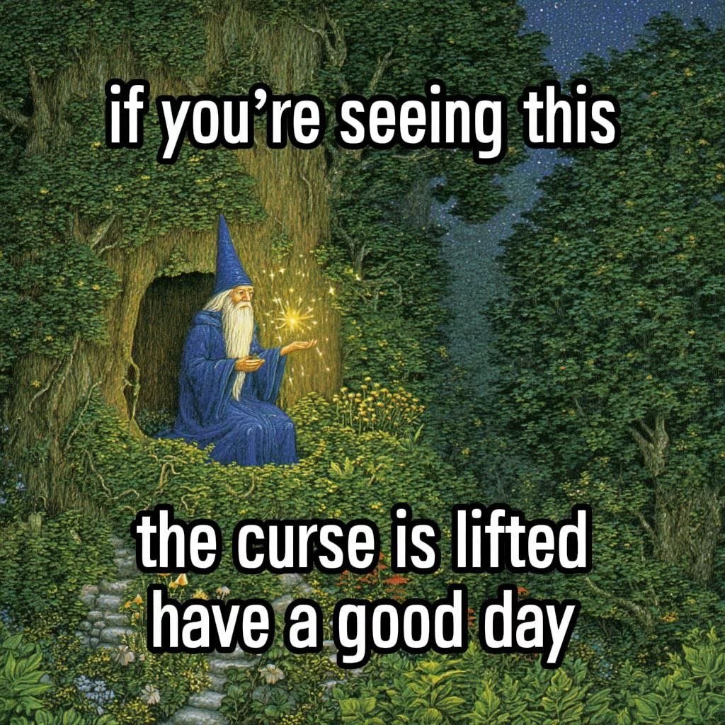 wizardgang's tweet photo. https://t.co/cxfMt2p2Yy