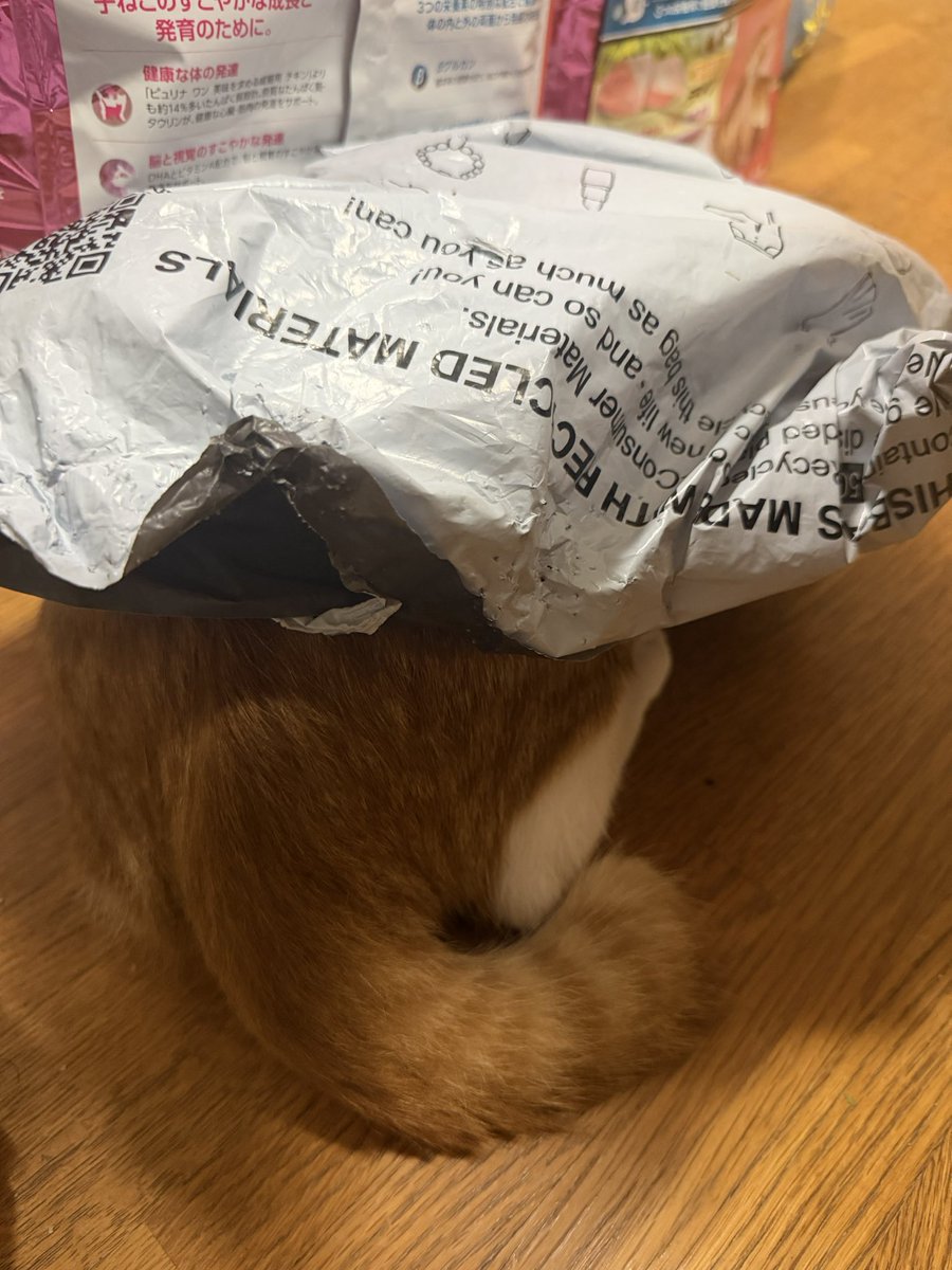 Game_sky_piyo's tweet photo. ん？SHEINからの…？
に、もつ……？？？
 #猫のいる暮らし  #ねこのいる幸せ https://t.co/bQViKoFyzW