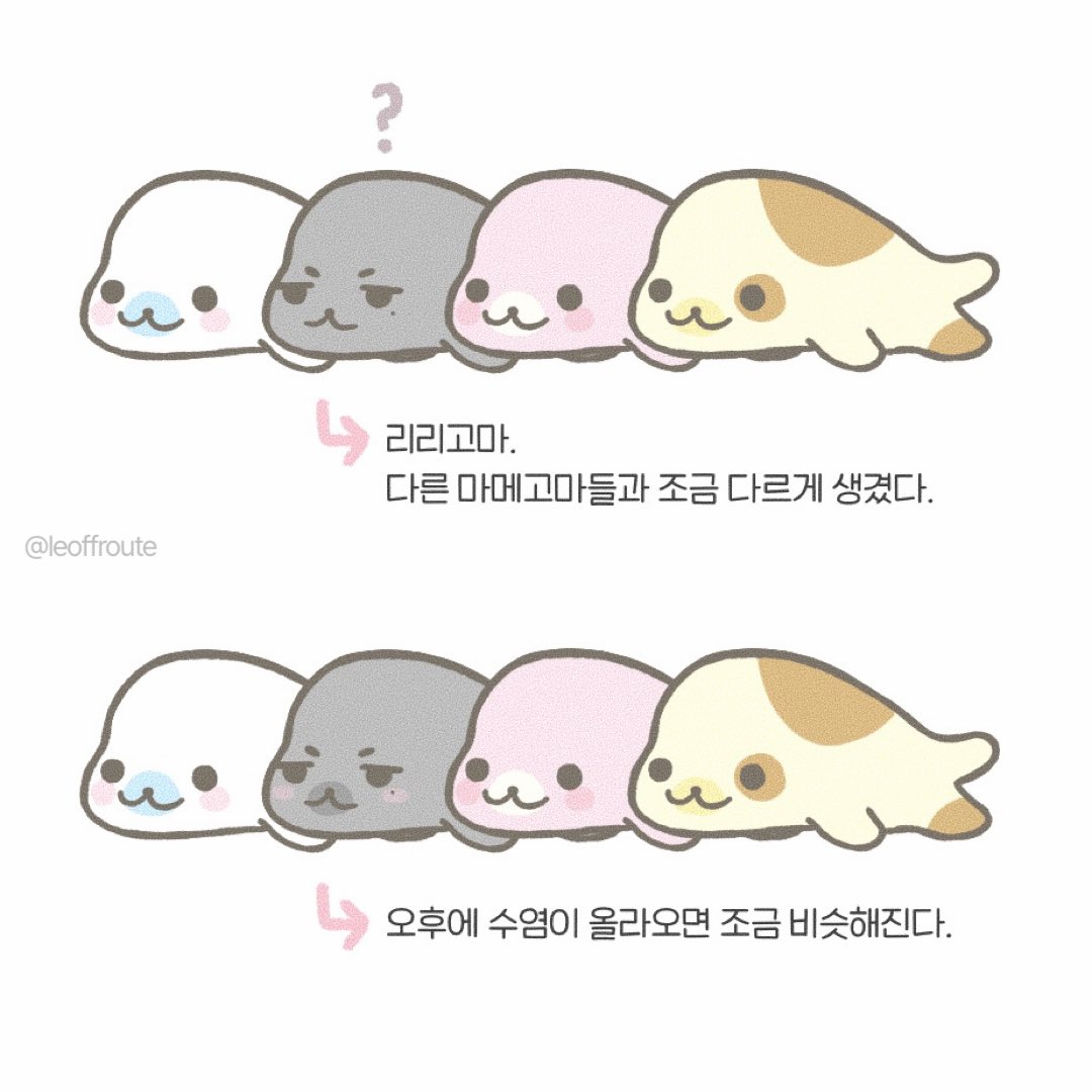 leoffroute's tweet photo. 리리고마 #LEO #리오 https://t.co/QpKqb1Fk8I