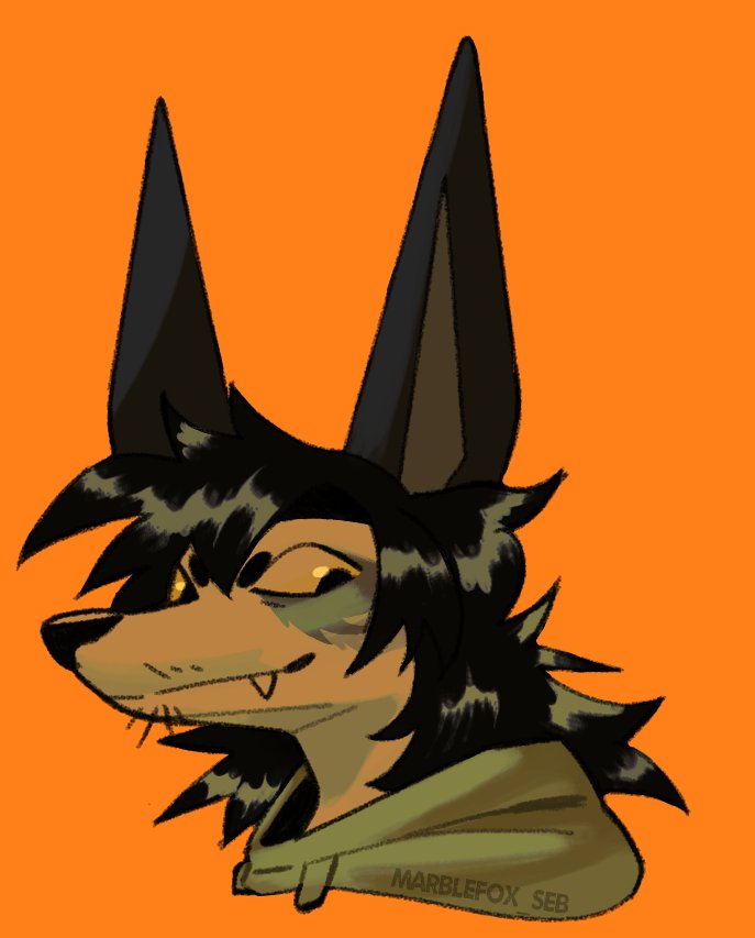 MarbleFox_Seb's tweet photo. Another ugly fox thing https://t.co/NEIHuZ08Nd