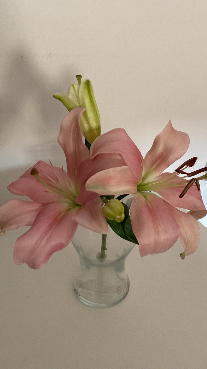 geinJel's tweet photo. السبت🤸🏼‍♀️🌺🧘🏻‍♀️ https://t.co/eneTyCQxnz
