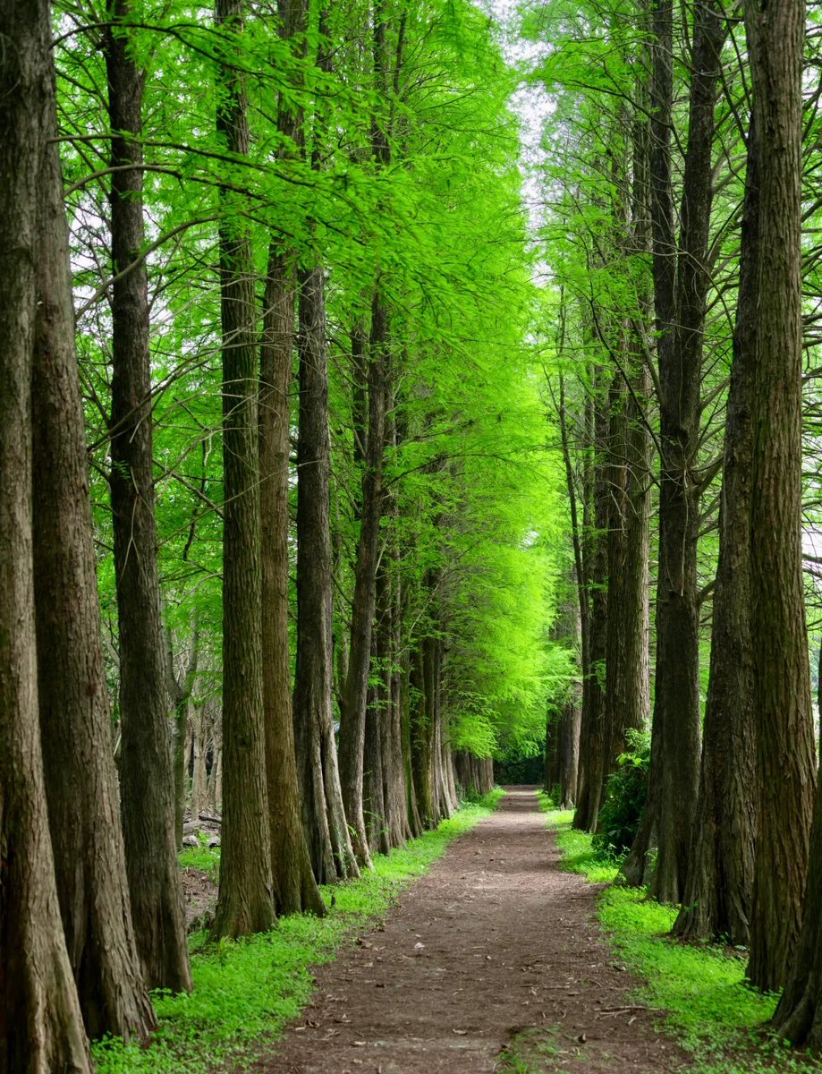 faded_drift_46's tweet photo. [The journey to Yueyongya is full of surprises! Every step here feels like a warm encounter with nature.]， https://t.co/mFkx7huiID