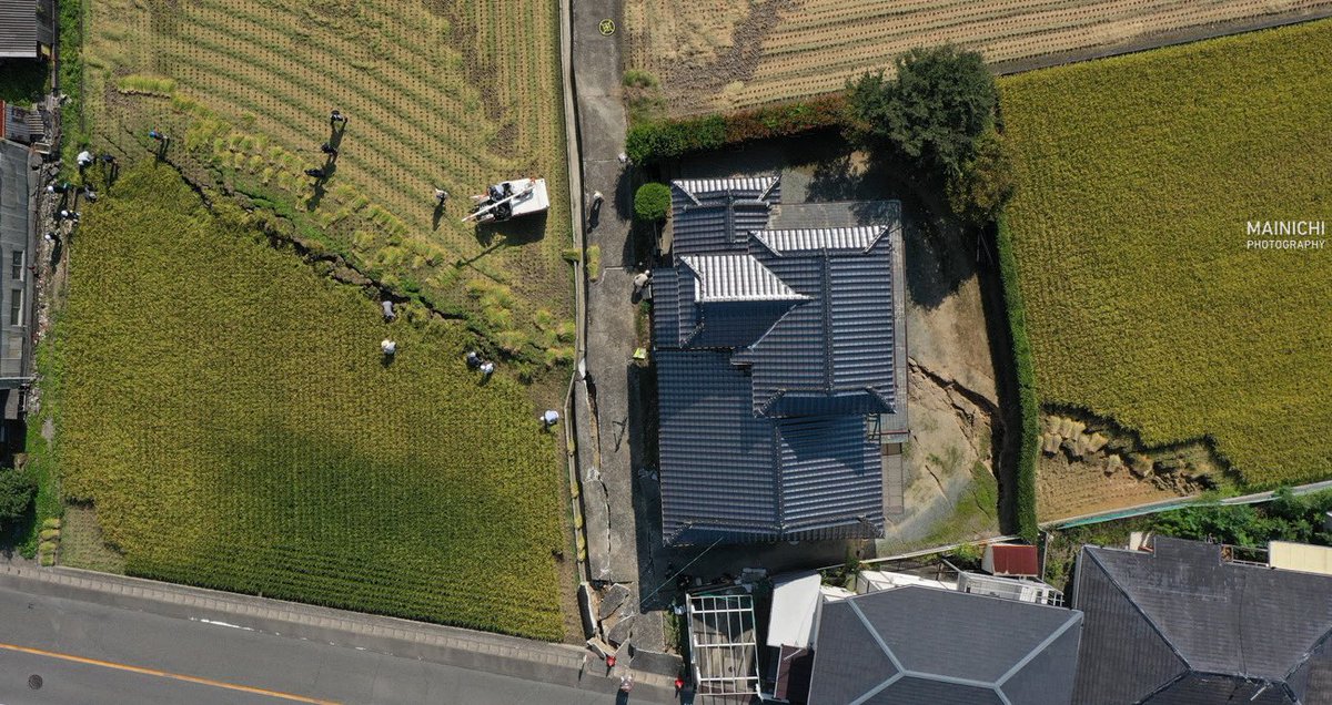 4y_bz531's tweet photo. 熊本県八代市で貴重な稲刈りをドローンで撮影しました。天災にも負けず稲穂は黄金色に実っており、たくましさを感じさせます。また俯瞰で見てみると、日奈久断層帯は民家の向こう側まで走っているのが分かります。 https://t.co/gY2D6ANwzn