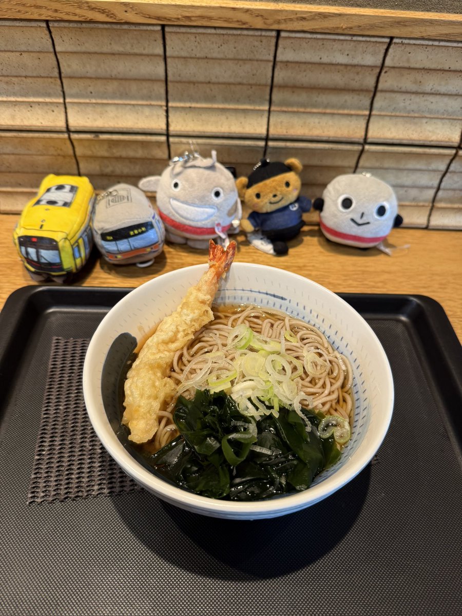 MG_TOQ3101f's tweet photo. #のるるん #ノッテちゃん
#ヒカリエ号 #3102F
#しぶくまくん #しぶそば
海老天! https://t.co/jjTunxmgUL