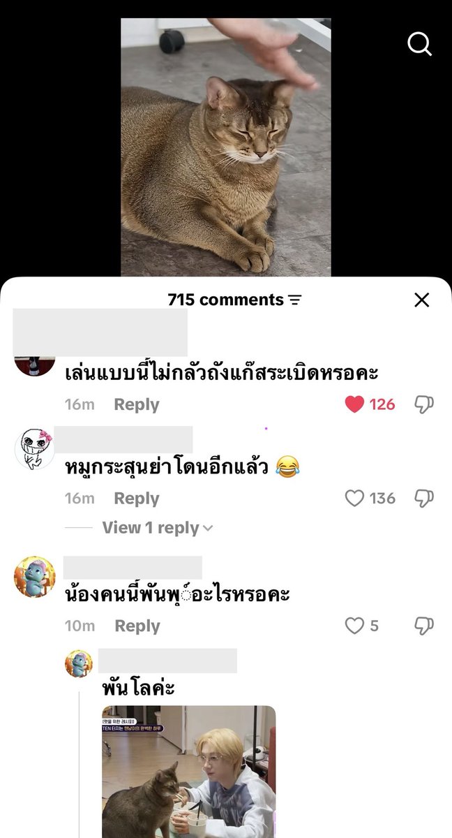 olalacool's tweet photo. ป๊าแกล้งพอทน เมนเตนล์รุมพอเลย
# ลีออนตัวโดน 55555555555 https://t.co/kEQDSim8mm