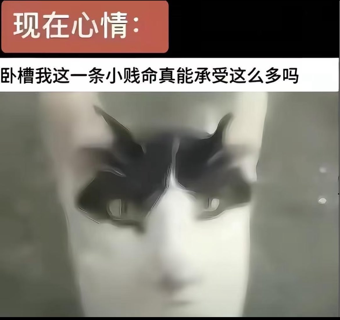 Applemzz7's tweet photo. 快被工作操死了 https://t.co/XRHv7HtktX