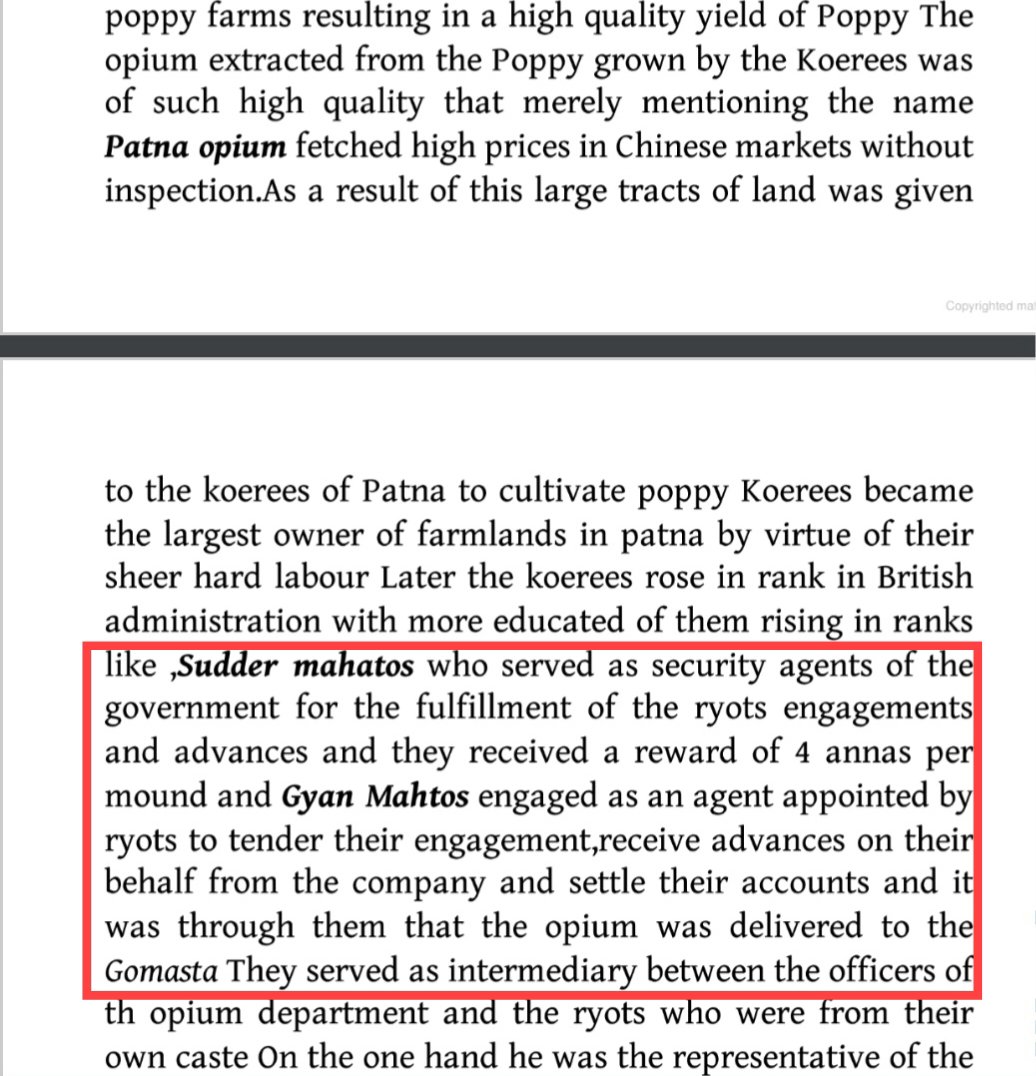 Truepilledverma's tweet photo. CHEIF CULTIVATOR OF OPIUM AND POPPY - https://t.co/EDsll7aanG