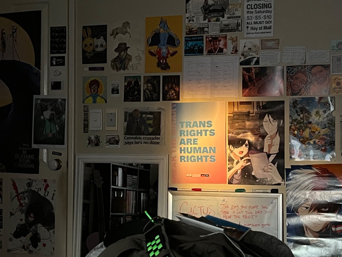 Spencer49453981's tweet photo. sunlight shining on my trans rights poster https://t.co/PB08TS0pJ5