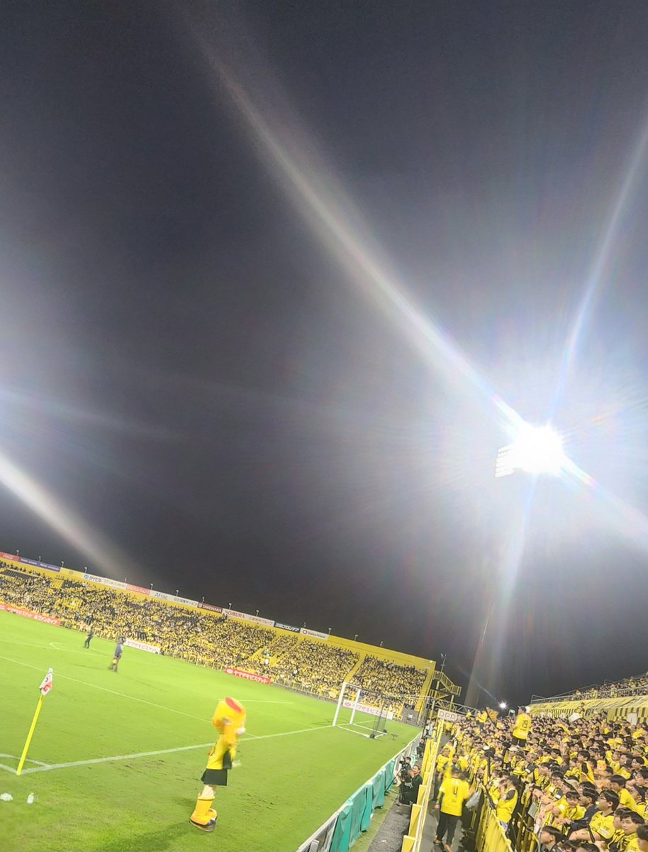 shino215's tweet photo. 絶対勝つぞ！レイソル☀️ https://t.co/0I0tZapRdG
