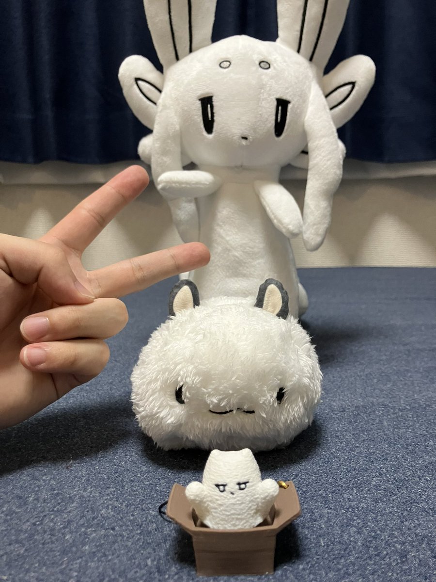 nut_kakipi's tweet photo. ただいま〜
帰ったらフシ届いてた！ https://t.co/onRxWISCqW