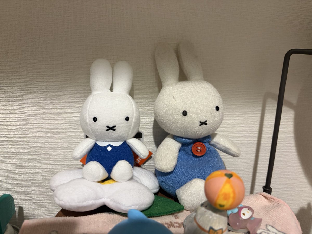 rrrhh_25's tweet photo. 今月25歳を迎えるのだけれど、早めのプレゼントで母親にミッフィーの人形を貰った(左)
右の子は、私が産まれる前にお散歩中に私に買ってくれたミッフィー💭
50歳になったらまた貰えるのかしら、、💭 https://t.co/Pqk0QVsZKI