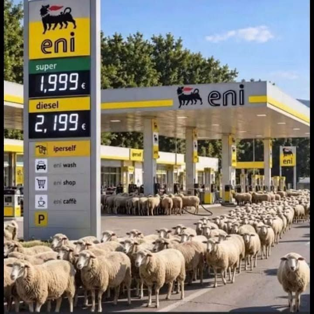 viaggrego's tweet photo. Ci hanno #convinto che la #Benzina a 1,99 ed il #Gasolio a 2,19 sono un #Dono #Divino . Alla fine hanno #Vinto loro , ha #Vinto il #Capitalismo ! Leggi Qui: https://t.co/nTeROWV4yT https://t.co/id9HjuqPMA