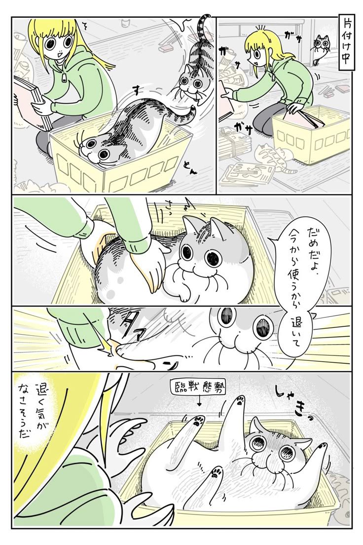 PokeTalesHQ's tweet photo. https://t.co/oqMzfDxwU2
