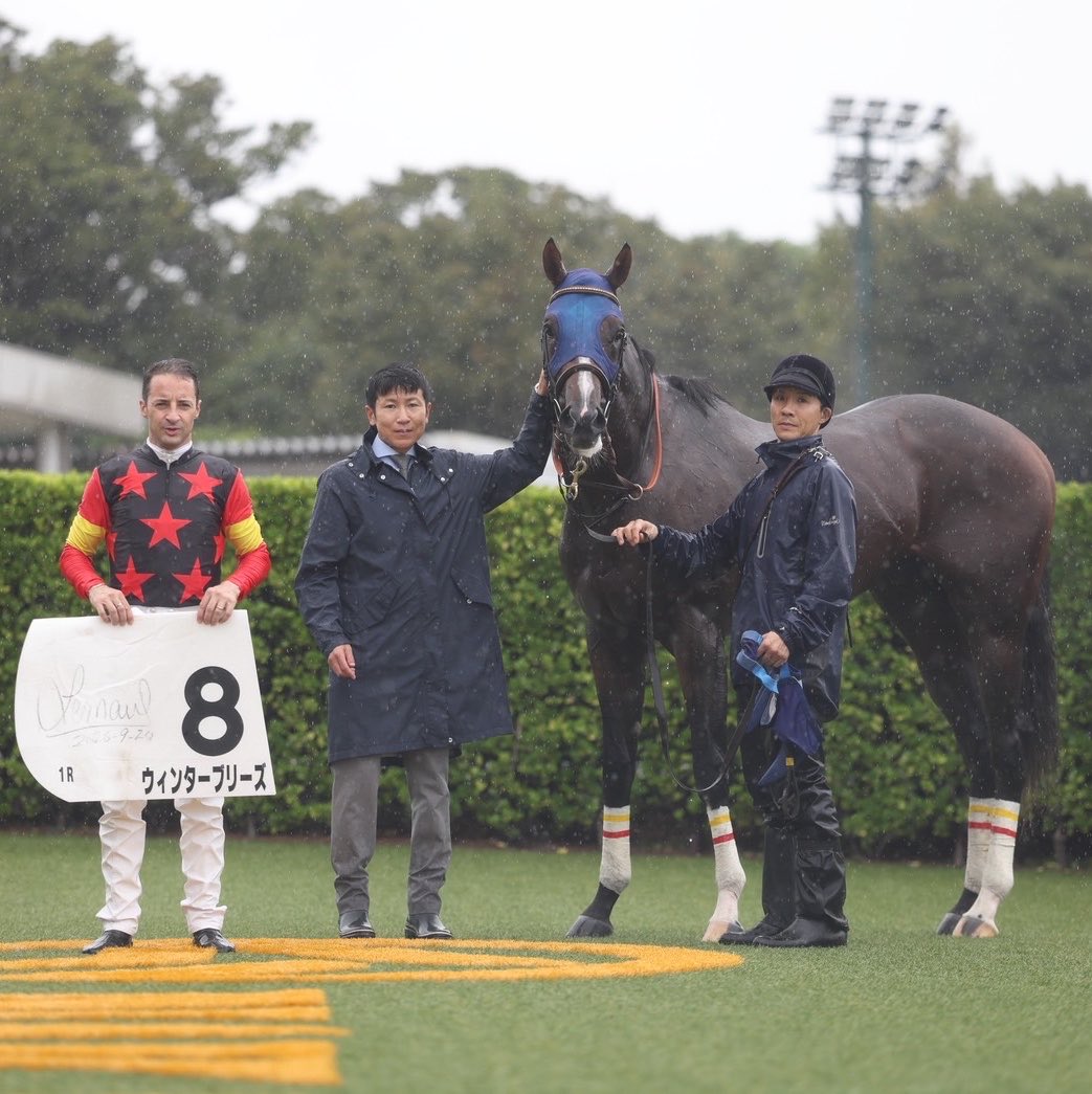 TNRacing_keiba's tweet photo. 【ウィンターブリーズ】牡2🥶
9/20中山1R2歳未勝利（🥇1着）、ルメール騎手サイン入りゼッケンをプレゼントします！！
初ダートで2歳ダート1800㍍のレコード更新！！
勝ち上がりを決めた初勝利のゼッケン！！

＜応募方法＞
（１）アカウントをフォロー 
（２）本投稿をリポスト
〆切は2026年10月16日23:59
※当選者にはXチャットでご連絡します🎊
⚠️プレゼントの発送先は日本国内に限らせていただきます/Domestic shipping only
#ホットロッドチャーリー #アイスパステル #プラタナス賞
