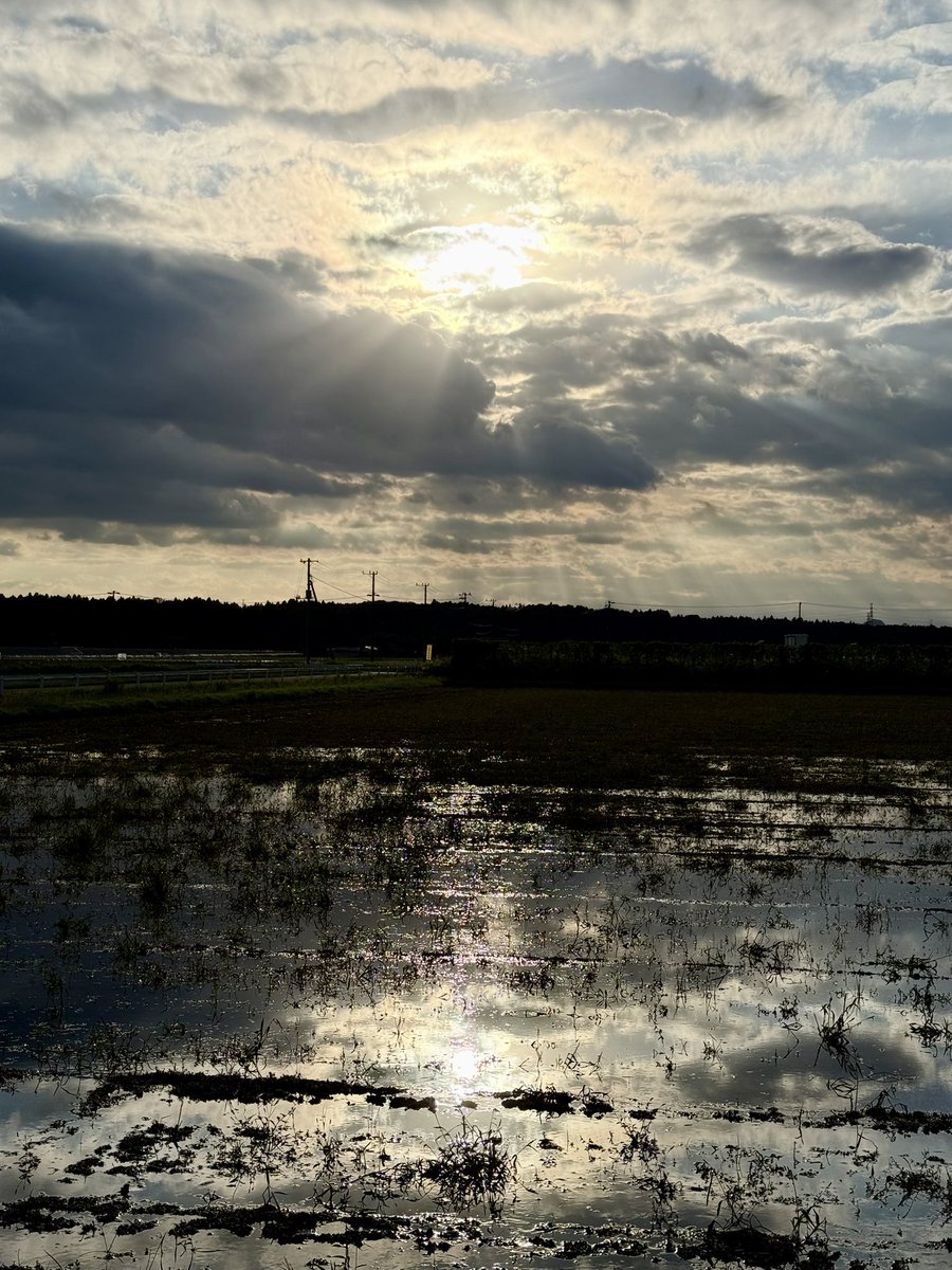 DJunsuzu4's tweet photo. 帰路
 #空がある風景
 #栃木県 https://t.co/yuM9JMmbmv
