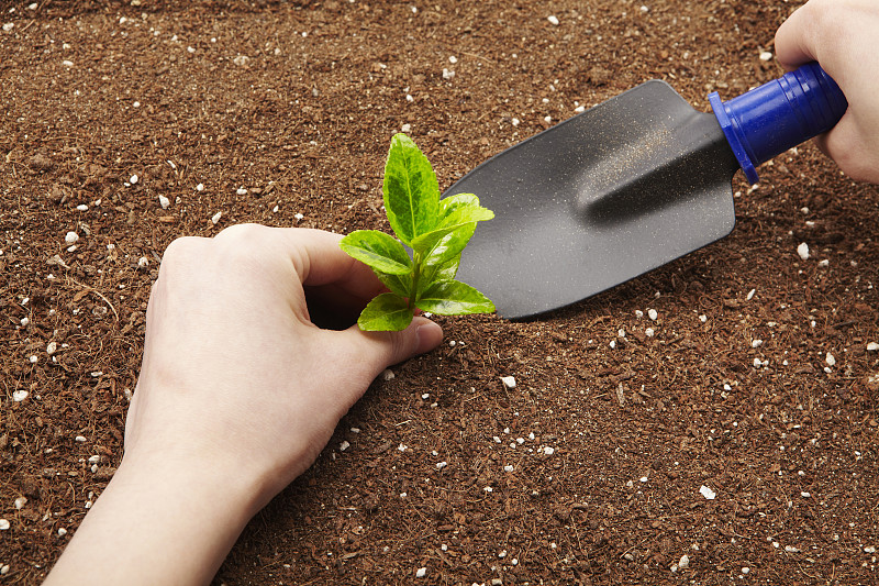 ZoeFernandlzzm's tweet photo. New plant parent Remember: water when soil’s dry 1-2 inches deep, give bright indirect light, and don’t overfertilize! Your green buddy will thrive with these easy tips. https://t.co/l0I9fIcdHZ