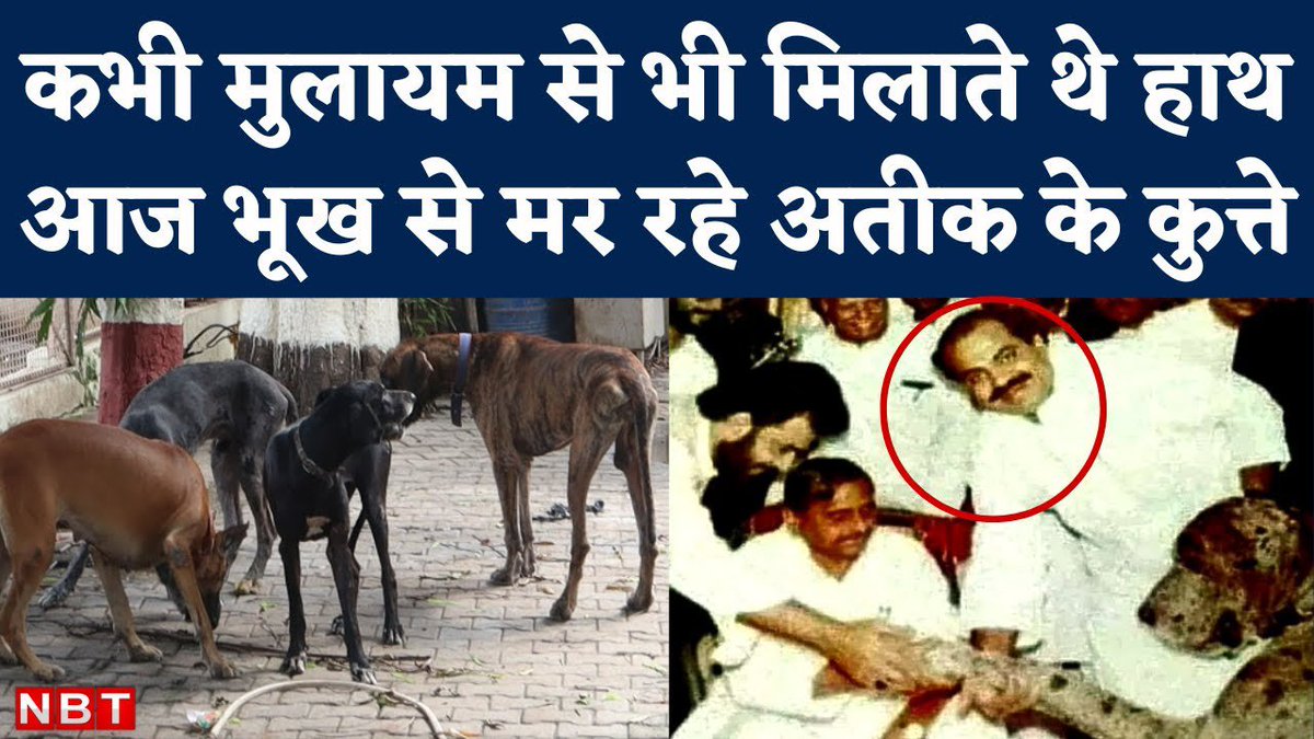 Truepilledverma's tweet photo. @bhagya_man8380 Political stuntzzzzz >>>>> 💔 https://t.co/6pJ70bWz0C