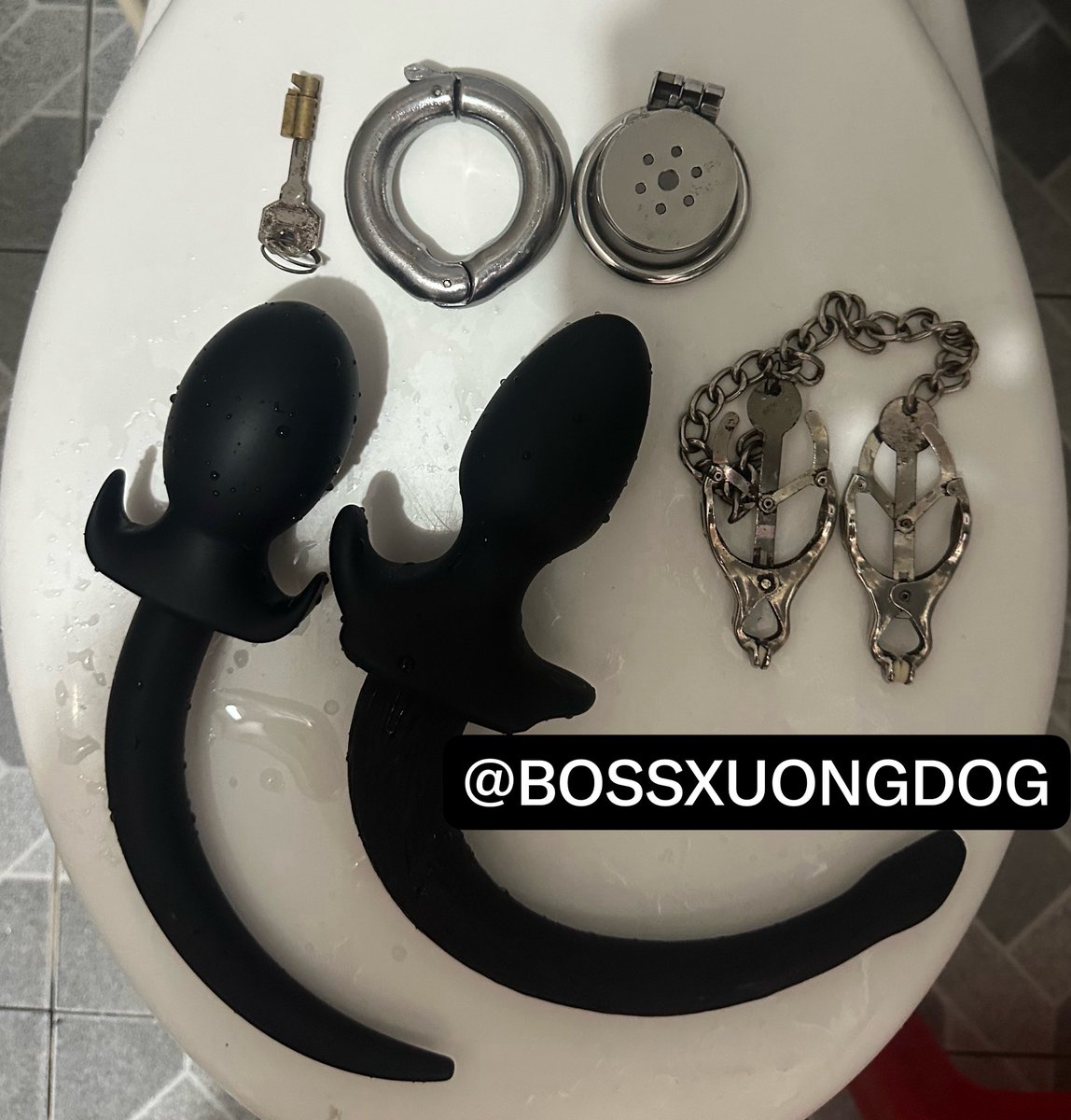 BOSSxuongDOG's tweet photo. Phụ kiện ra đường của tao
1.Khoá cặc ép sát
2. Tạ dái
3. Kẹp ti
Đang phân vân đeo đuôi nào 
Các boss ý kiến con nên đeo đuôi nào với ạ https://t.co/yWEU1pVymr