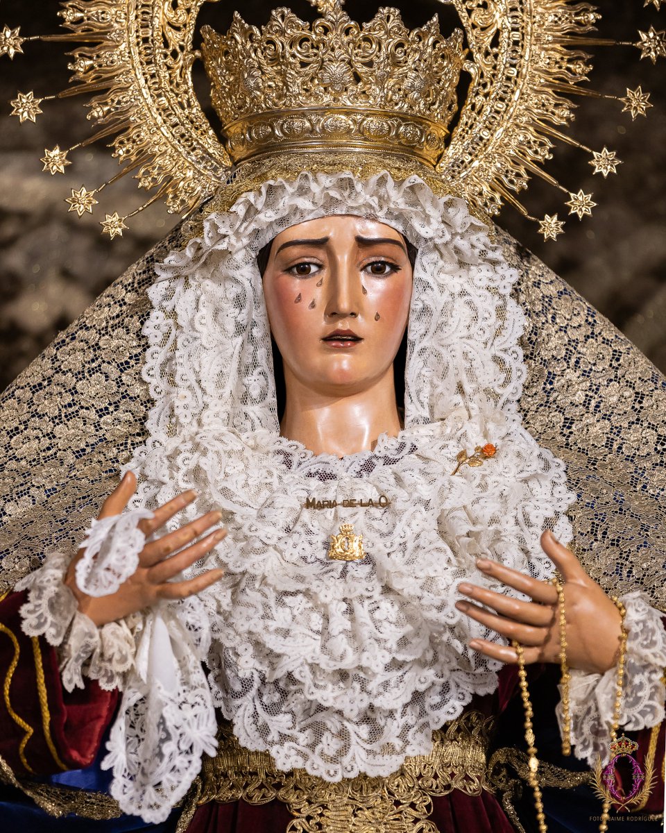 hermandaddelao's tweet photo. Hora del Ángelus.

V. El Ángel del Señor anunció a María.
R. Y concibió por obra del Espíritu Santo.
Dios te salve, María... Santa María...

V. He aquí la esclava del Señor.
R. Hágase en mí según tu palabra.
Dios te salve, María... Santa María...

V. Y el Verbo se hizo carne.
R. Y habitó entre nosotros.
Dios te salve, María... Santa María...

V. Ruega por nosotros, santa Madre de Dios.
R. Para que seamos dignos de alcanzar las promesas de Cristo.

Oremos:
Derrama, Señor, tu gracia sobre nosotros, que, por el anuncio del Ángel, hemos conocido la encarnación de tu Hijo, para que lleguemos, por su pasión y su cruz, a la gloria de la resurrección. Por Jesucristo, nuestro Señor.
R. Amén.

📷 @jaimerfz