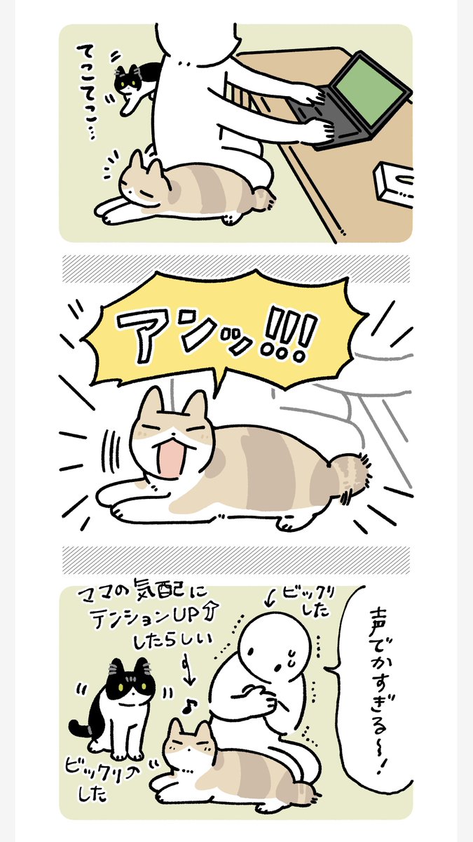 bou128's tweet photo. ママが近くに来るとかわいく反応するみたらしさん　愛だね https://t.co/0SWPlR2p2B