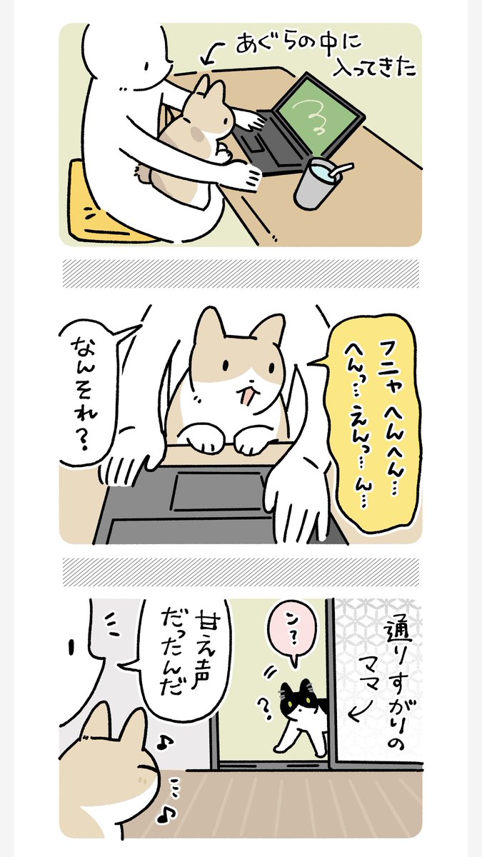 bou128's tweet photo. ママが近くに来るとかわいく反応するみたらしさん　愛だね https://t.co/0SWPlR2p2B