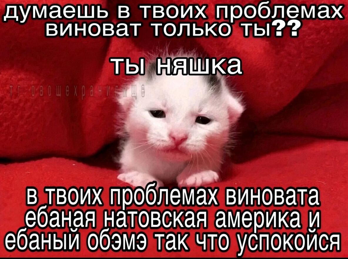 gugelbugel's tweet photo. https://t.co/6FxJKpGCR8
