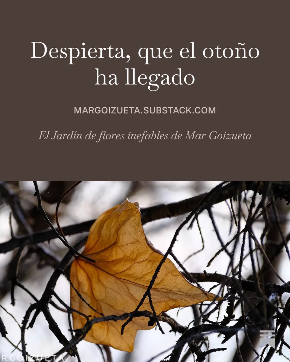 MarGoizueta's tweet photo. Hace una semana compartí este poema invocación para librarnos del verano infinito que nos estaba robando el otoño. Y funcionó. 

Puedes leerlo en mi Jardín de flores inefables: https://t.co/4LQqTkfntJ

#MarGoizueta #escritora #Poema #otoño https://t.co/tzKSesfTsY