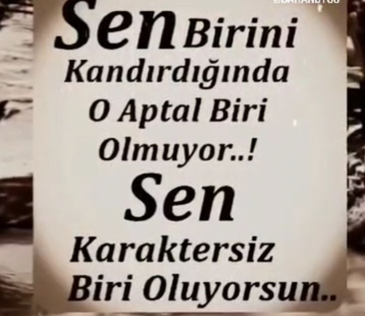 Mustafa93880376's tweet photo. @MunzurluCa29071 KATILIYORUM DÜŞÜNCEM.. https://t.co/GYQIR5Iolt