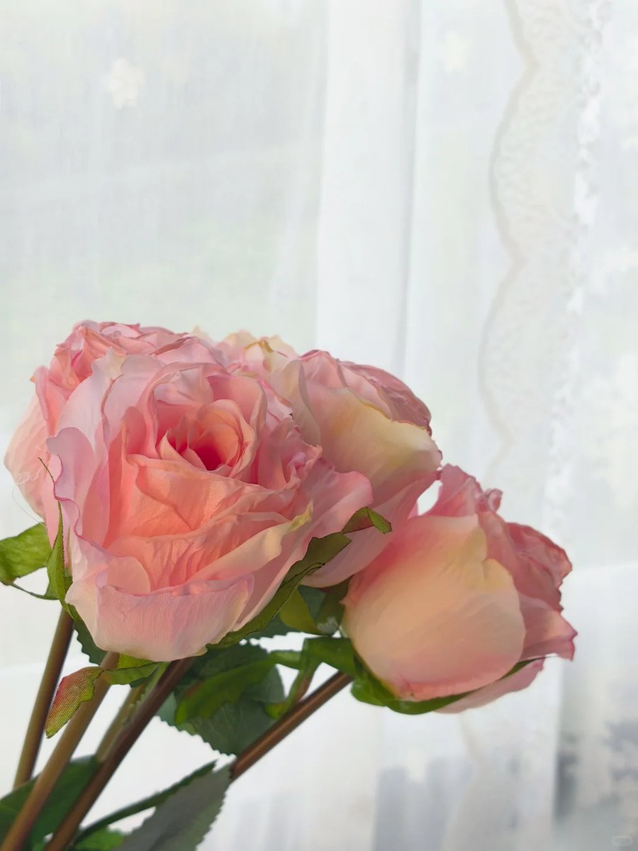 SaraHuntsajy's tweet photo. New to photography Start with mastering natural light – it’s free, forgiving, and can turn a simple subject into a great shot. Spend 10 mins observing how light hits objects and you’ll see instant progress! https://t.co/1iQrqcRMop