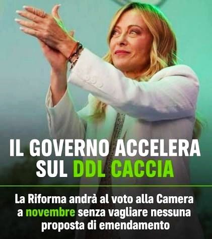 gianni_runco's tweet photo. La priorità del #governodiincapaci è quella di "fucilare" animali in tutti i modi possibili... @GiorgiaMeloni #stopcaccia #animalrights #crisiclimatica #GiùLeManiDallaFauna #StopSparatutto #tutelabiodiversità #LottaAlBracconaggio #DifendiamoGliAnimali #nocaccia #veganworld https://t.co/eDMBZ3Chpg