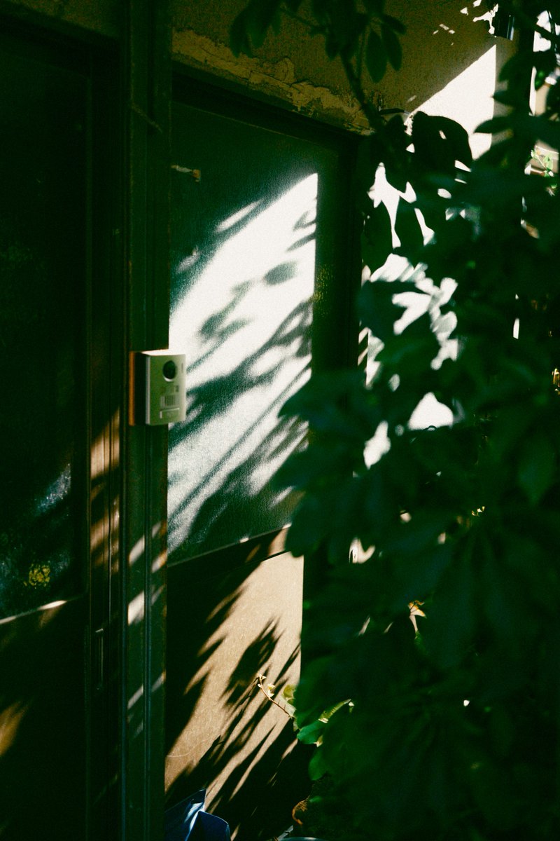 sho__pic's tweet photo. Light. https://t.co/ocGsMFxVfT