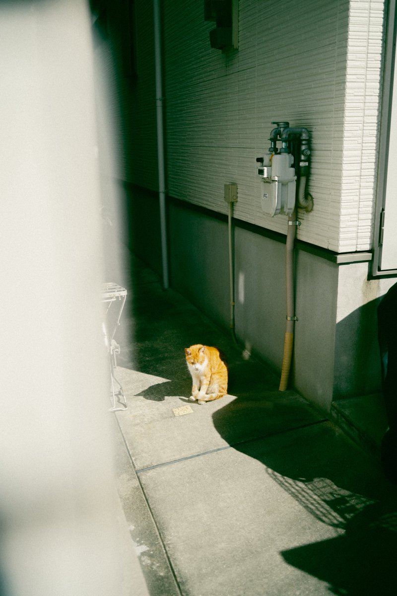 sho__pic's tweet photo. Light. https://t.co/ocGsMFxVfT