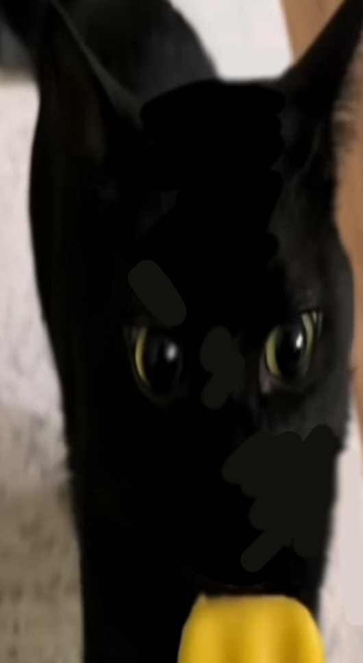 Colalover_4ever's tweet photo. I'm going for cat scracthes and Styros tommorow:D stay tuned:> I'll definitely Censor it guys don't worry! 🌈🤤💘
#slittwt #sh #twt #shedtwt https://t.co/2ickkhEBdj