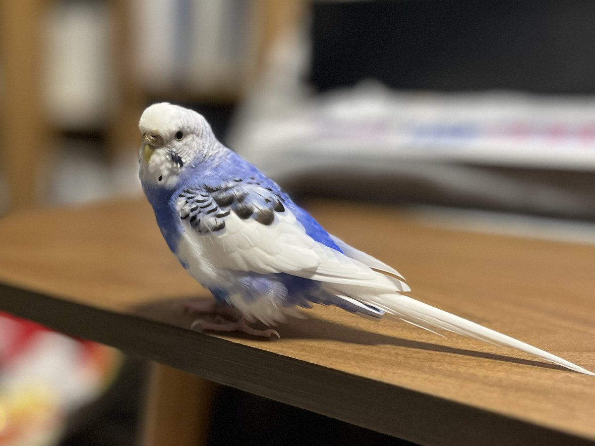 cryoliter's tweet photo. お元気！ https://t.co/1dSDoNlxFT