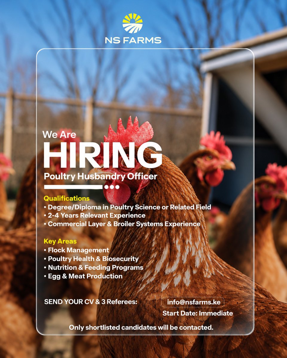 ns93315's tweet photo. We’re hiring! NS Farms seeks a Poultry Husbandry Officer to oversee flock health, feeding, biosecurity and production.

📍 NS Farms | Full-Time
📩 info@nsfarms.ke
#NSFarms #PoultryJobs #KenyaJobs https://t.co/pM9r9ZJkUQ