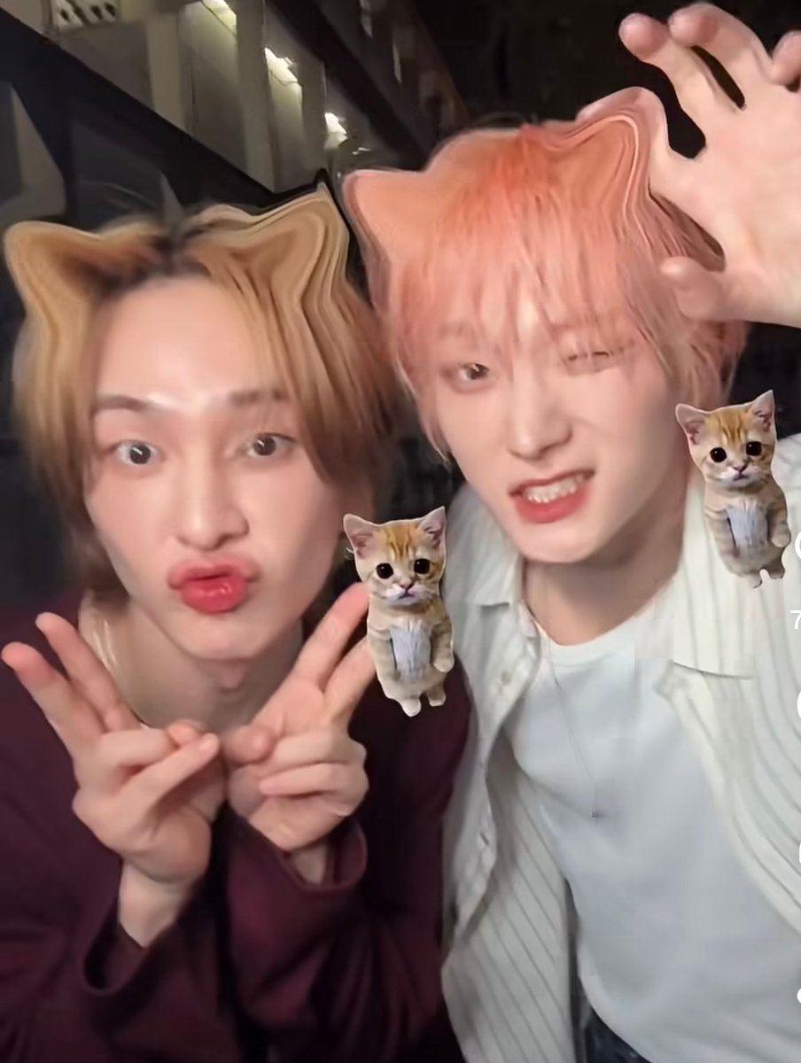 cafein_freak's tweet photo. 냥이 형아들 😭😭😭 https://t.co/fsD1K8oMpZ