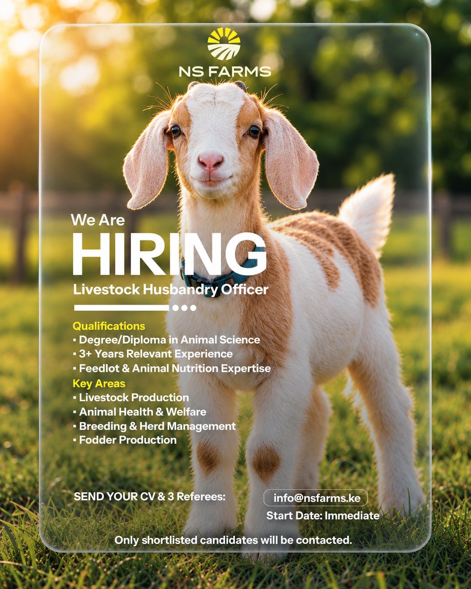 ns93315's tweet photo. We’re hiring! NS Farms seeks a Livestock Husbandry Officer to manage animal nutrition, breeding, herd health and production.

📍 NS Farms | Full-Time
📩 info@nsfarms.ke
#NSFarms #LivestockJobs #KenyaJobs https://t.co/s44jZvJ0rU